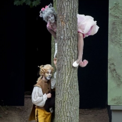 Der gestiefelte Kater